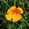 4-jpg